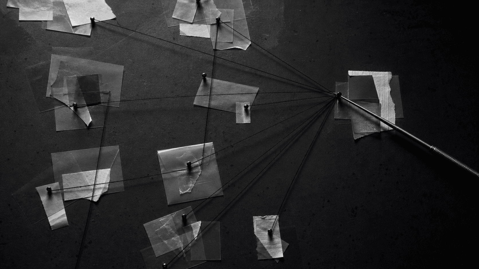 Monochrome evidence paths converging on one hidden origin